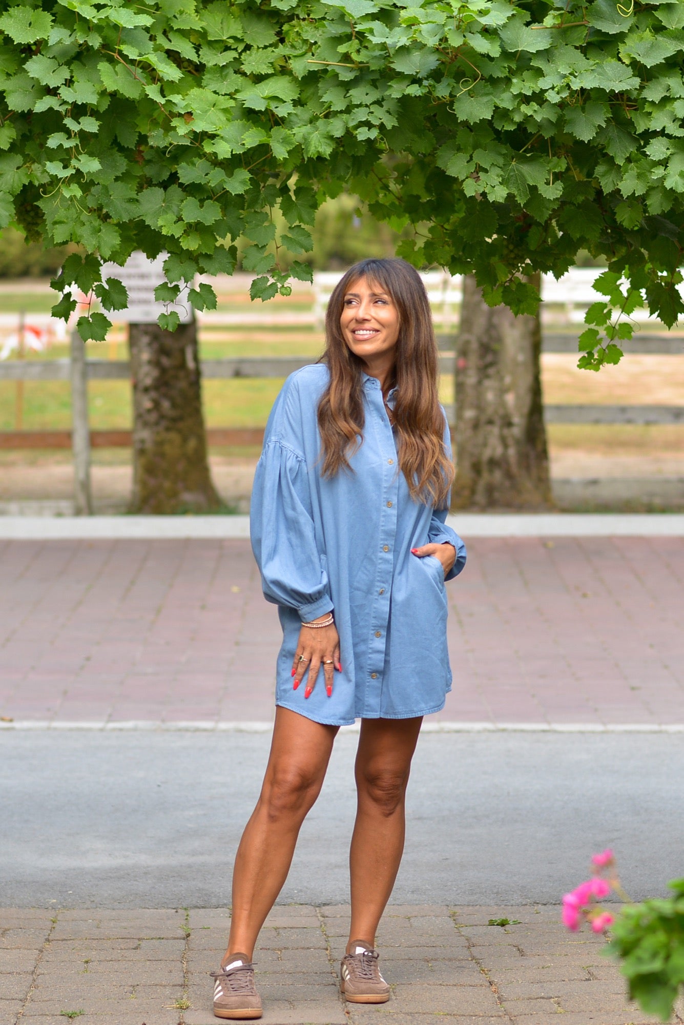 Leah Chambray Dress in Light Blue